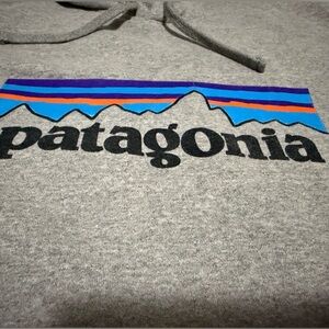 Patagonia Hoodie Gray Logo Sweater unisex